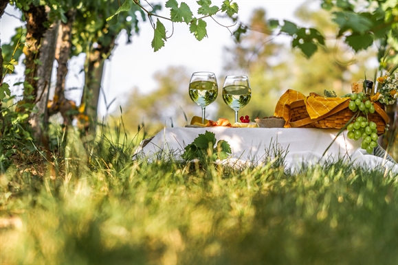 Wine in the Vineyard