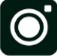 ins
